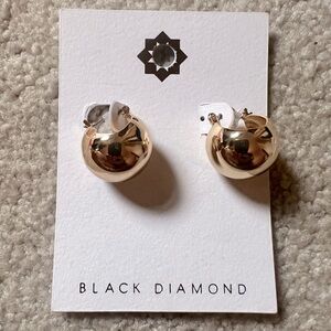 Beautiful faux gold earrings.